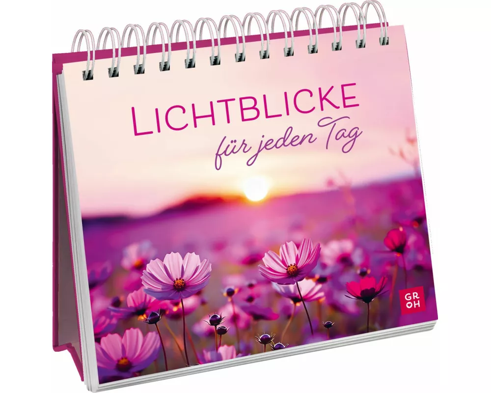 Lichtblicke für jeden Tag