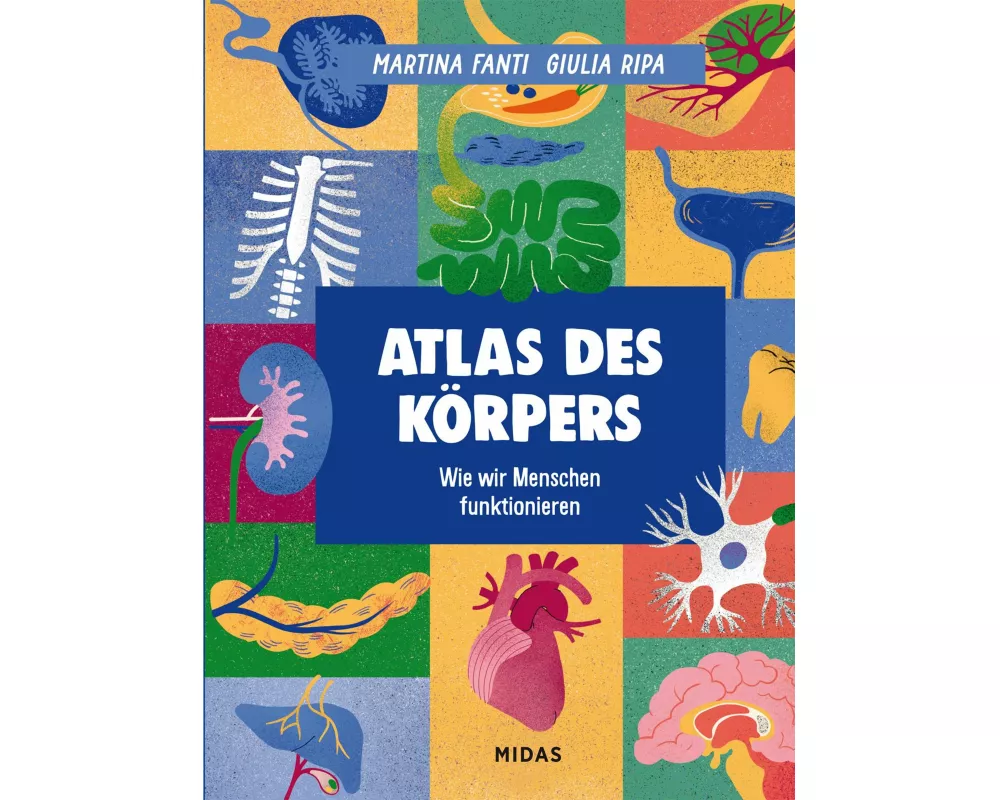 Atlas des Körpers