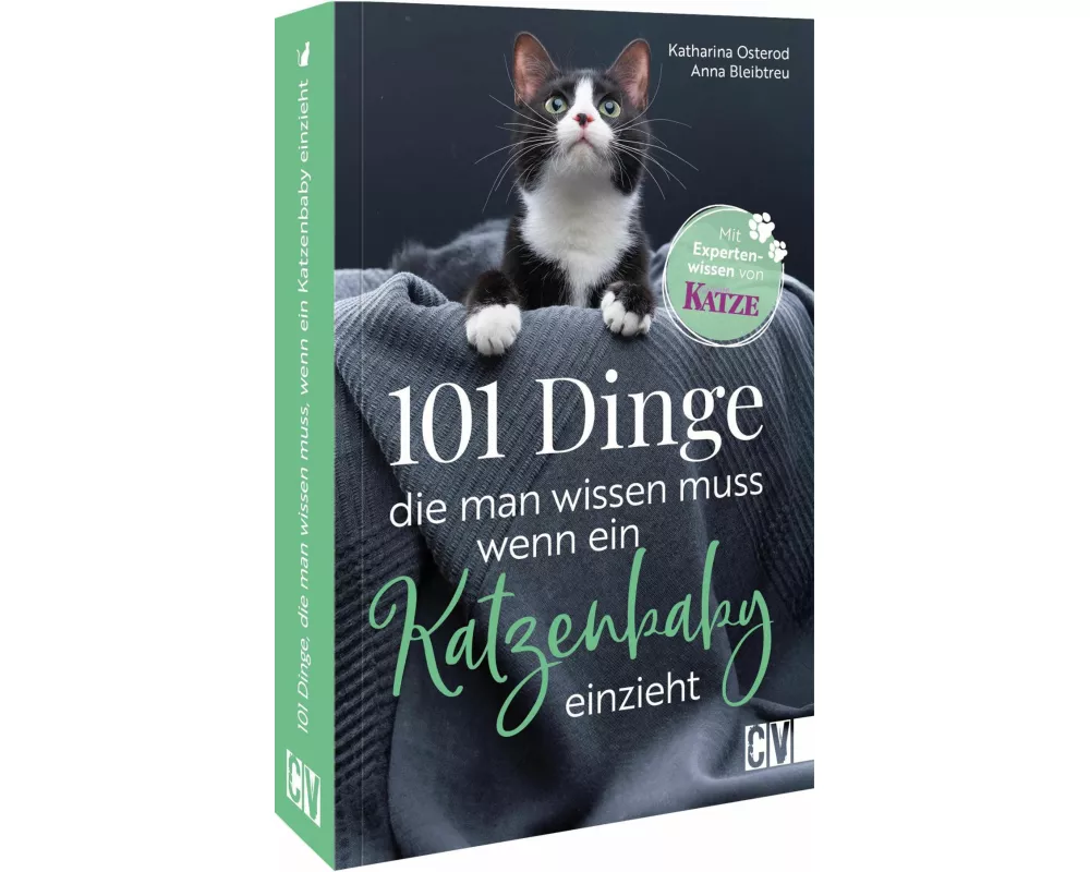 101 Dinge, die man wissen muss, wenn ein Katzenbaby einzieht