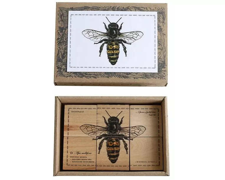 Blocks Species Of Bees