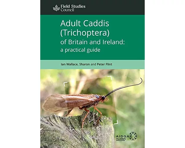 Adult Caddis (Trichoptera) of Britain and Ireland: a practical guide