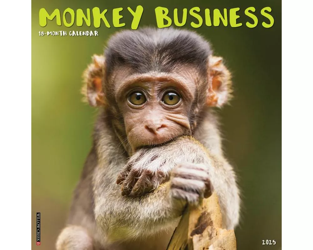 Monkey Business 2025 12 X 12 Wall Calendar