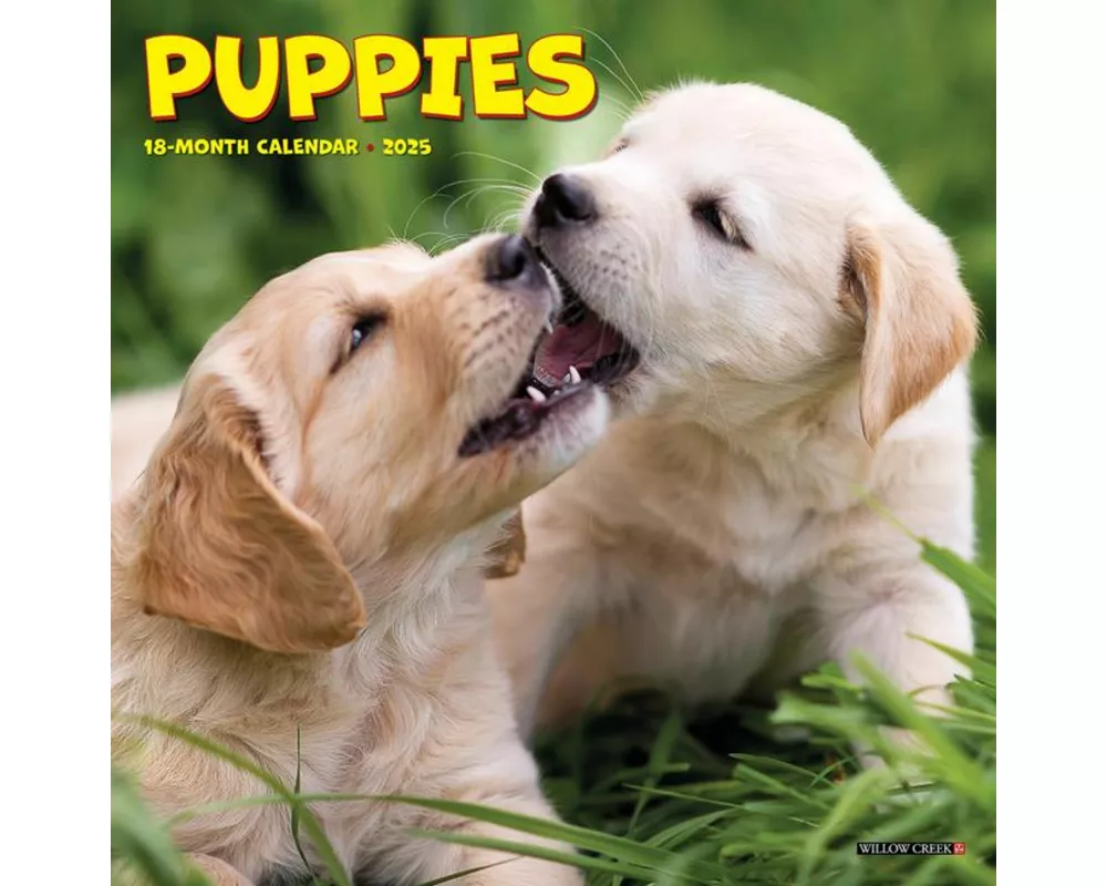 Puppies 2025 7 X 7 Mini Wall Calendar