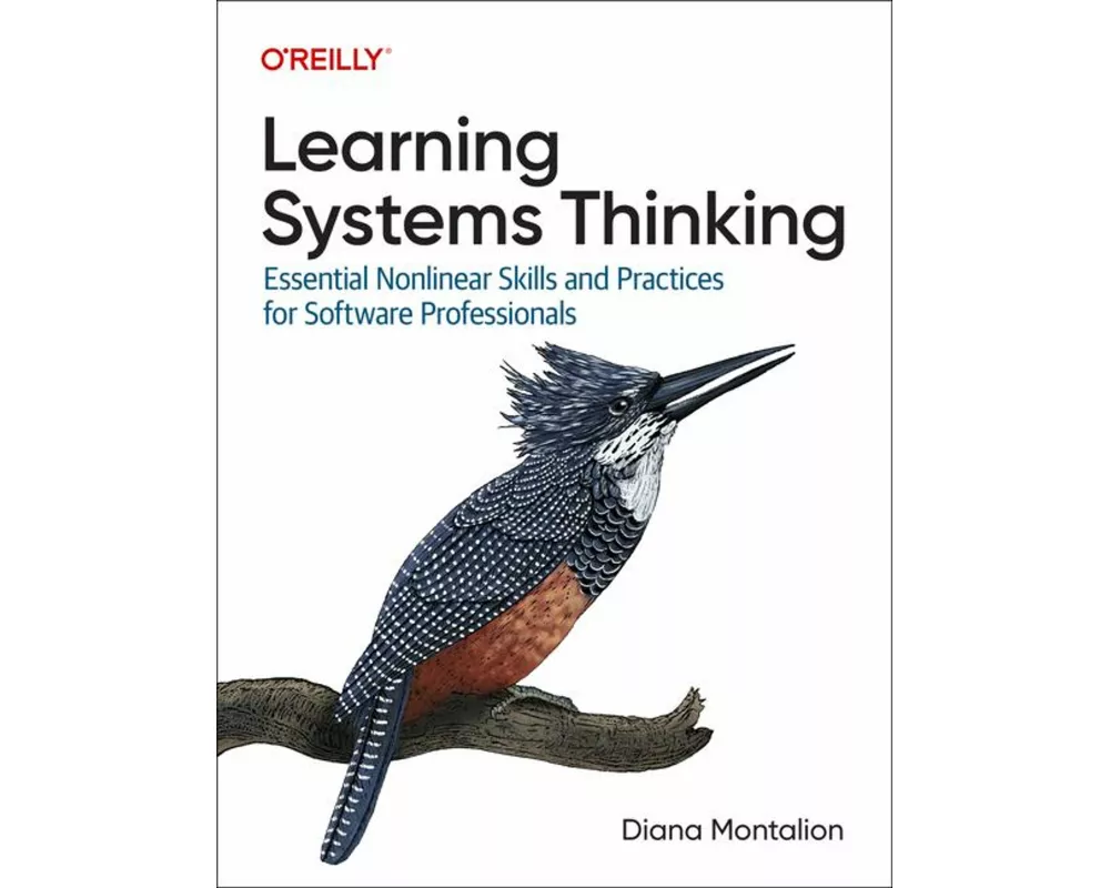 Learning Systems Thinking
