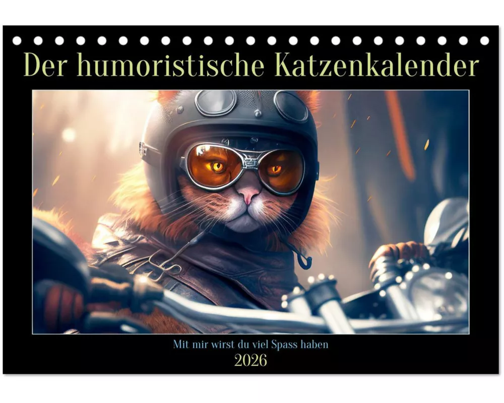 Der humoristische Katzen Kalender (Tischkalender 2026 DIN A5 quer), CALVENDO Monatskalender