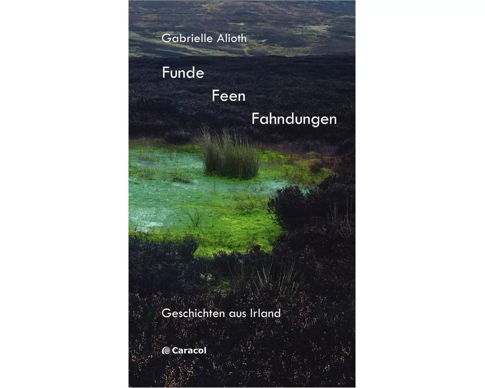 Funde Feen Fahndungen