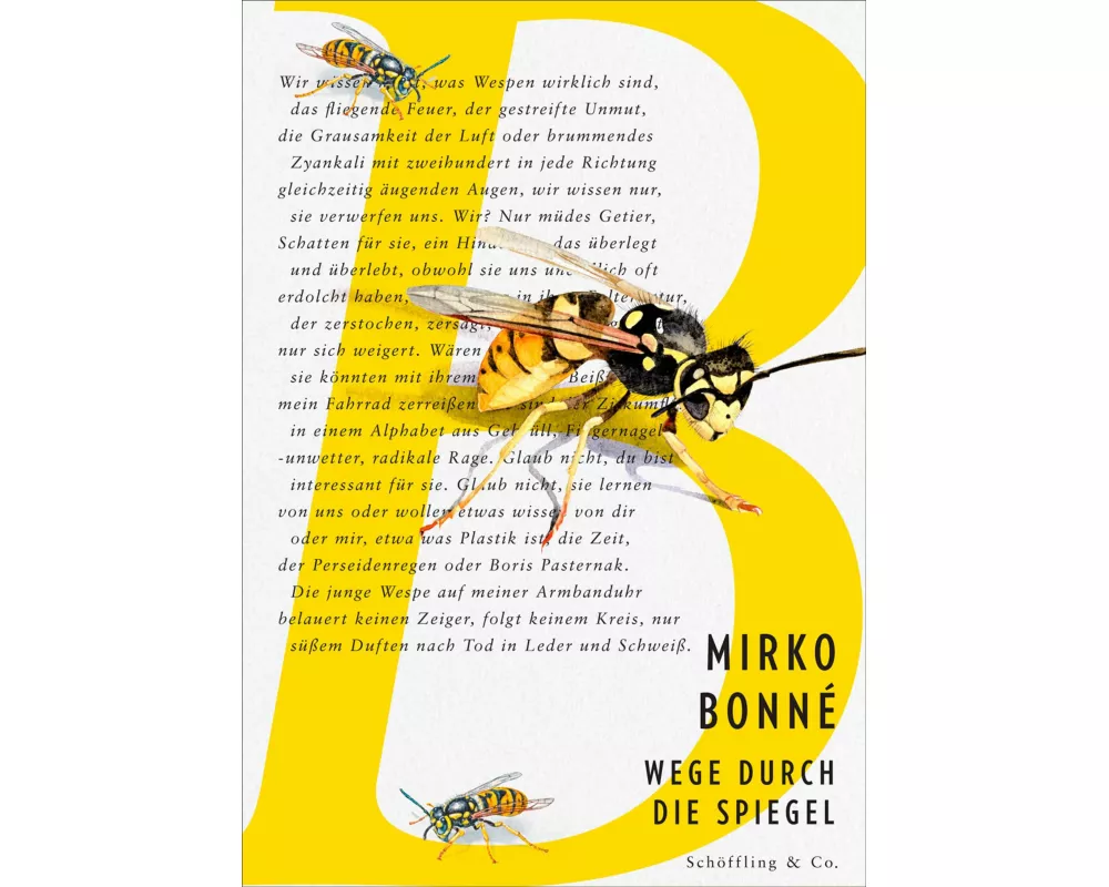 Wege durch die Spiegel