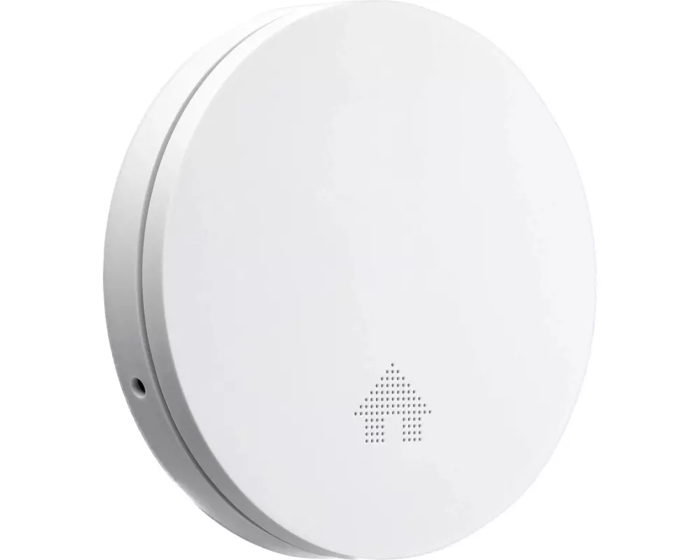 Mentrex Rauchmelder GS546