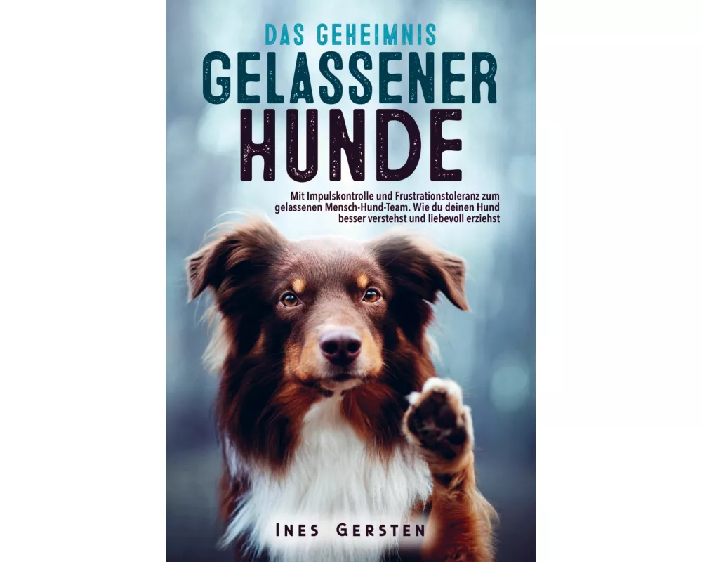 Das Geheimnis gelassener Hunde