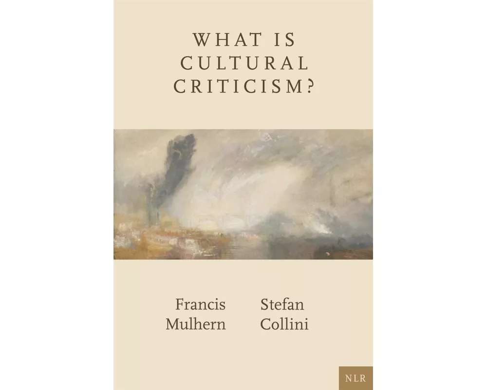 What Is Cultural Criticism?