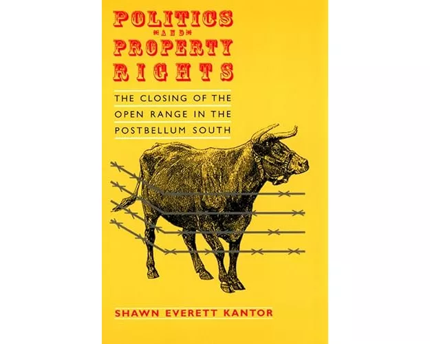 Politics and Property Rights