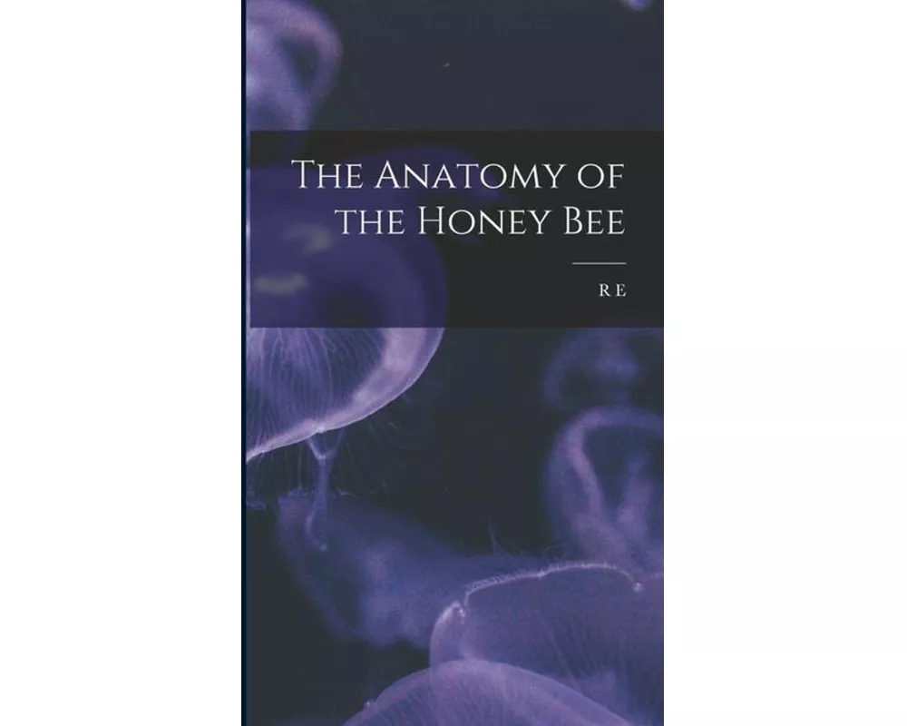 The Anatomy of the Honey Bee