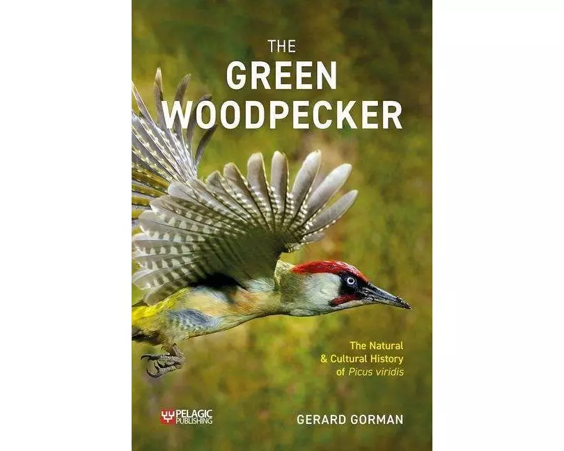 The Green Woodpecker