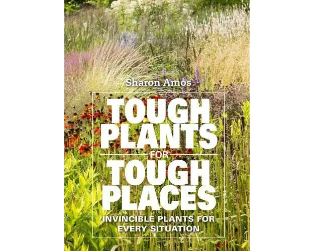 Tough Plants for Tough Places