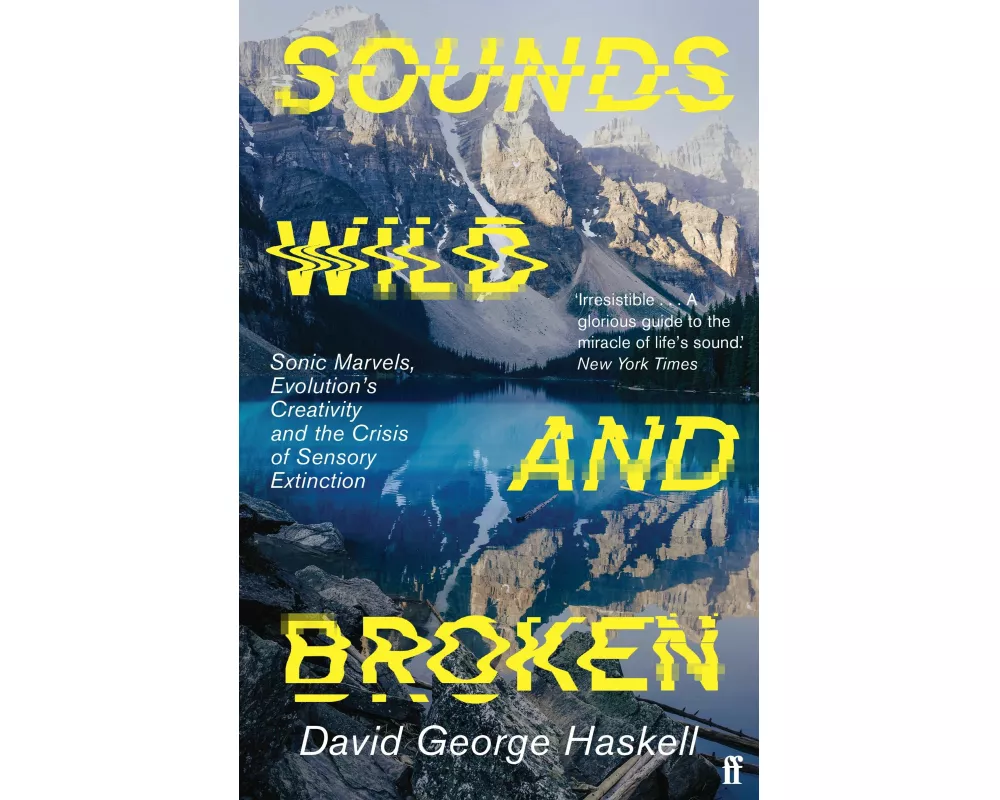Sounds Wild and Broken