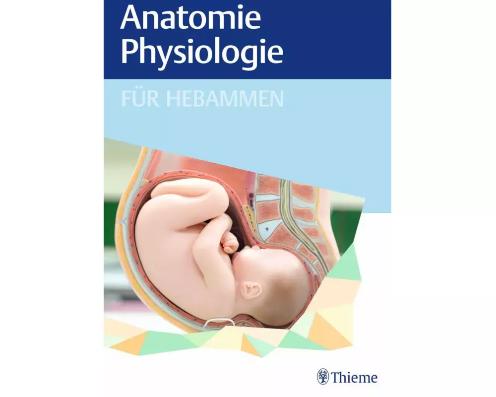 Anatomie und Physiologie für Hebammen