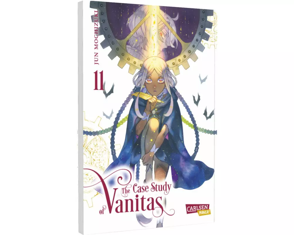 The Case Study Of Vanitas 11