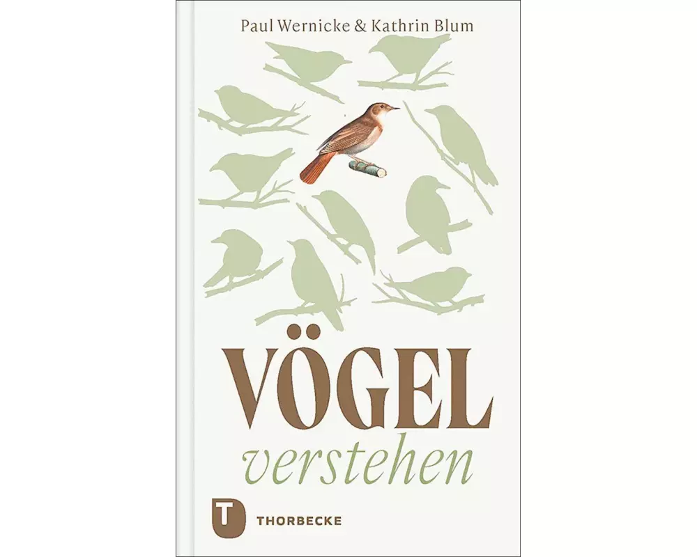 Vögel verstehen