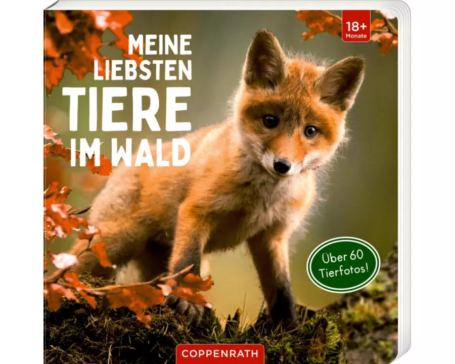 Meine liebsten Tiere im Wald