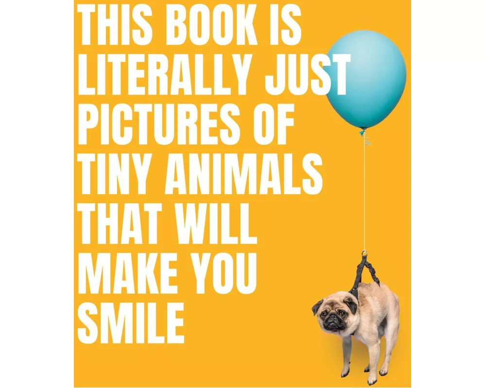 This Book Is Literally Just Pictures of Tiny Animals That Will Make You Smile