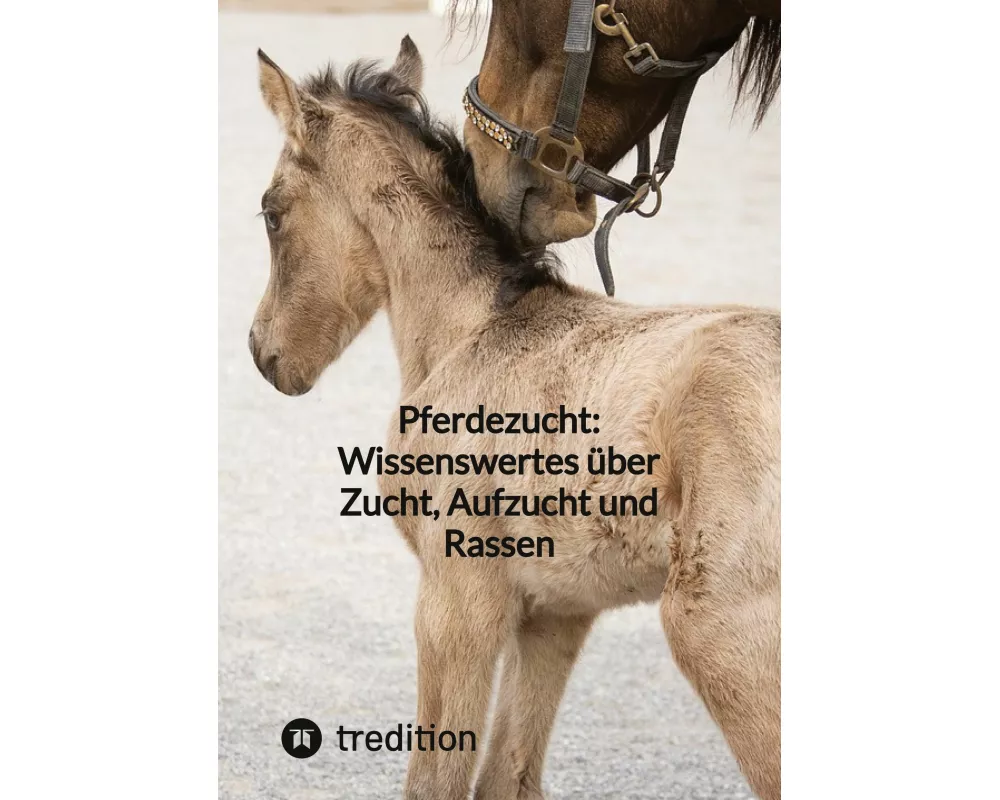 Pferdezucht: Wissenswertes über Zucht, Aufzucht und Rassen