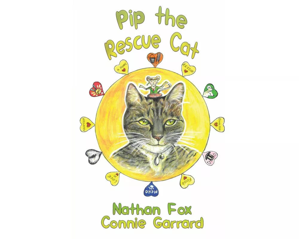 Pip the Rescue Cat