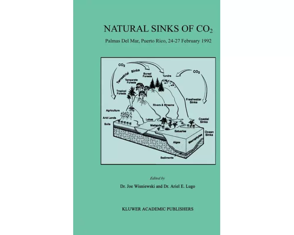 Natural Sinks of CO2
