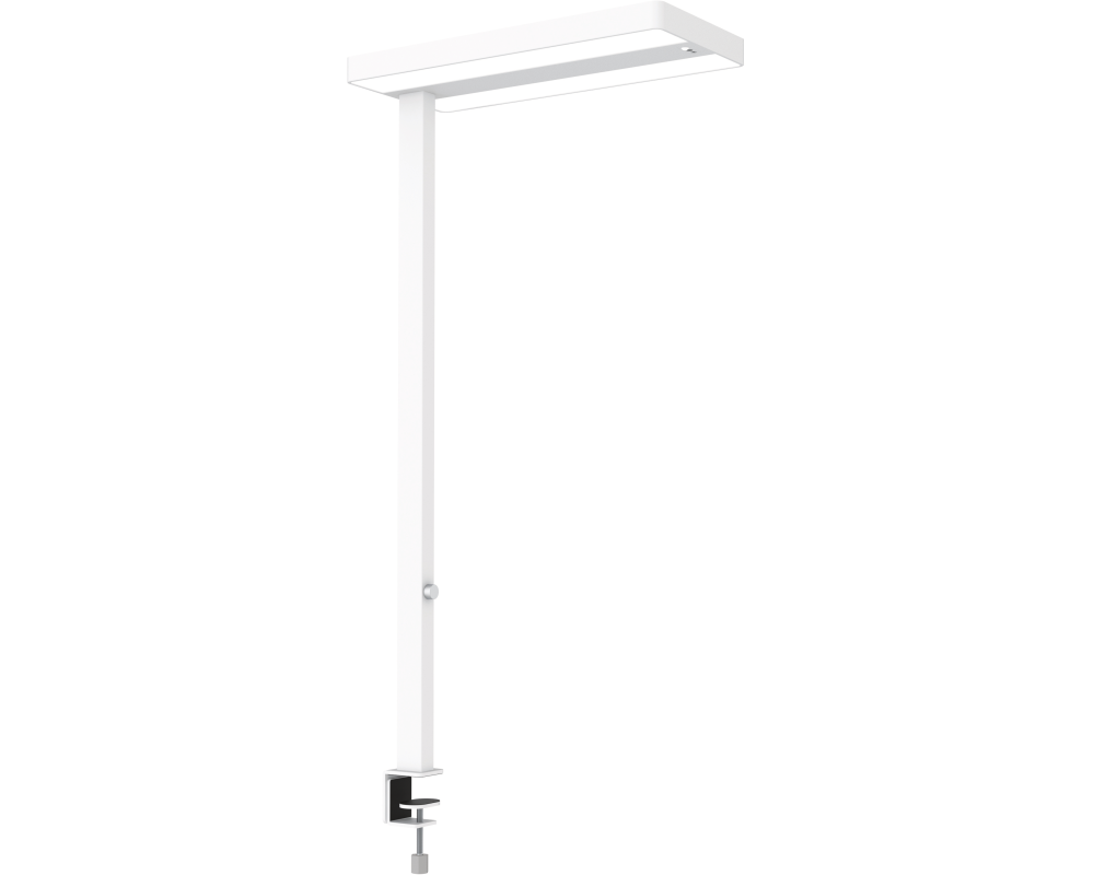 MAUL LED-Tischleuchte MAULjuvis 8258702 Bewegung-/Lichtsensor, dim.