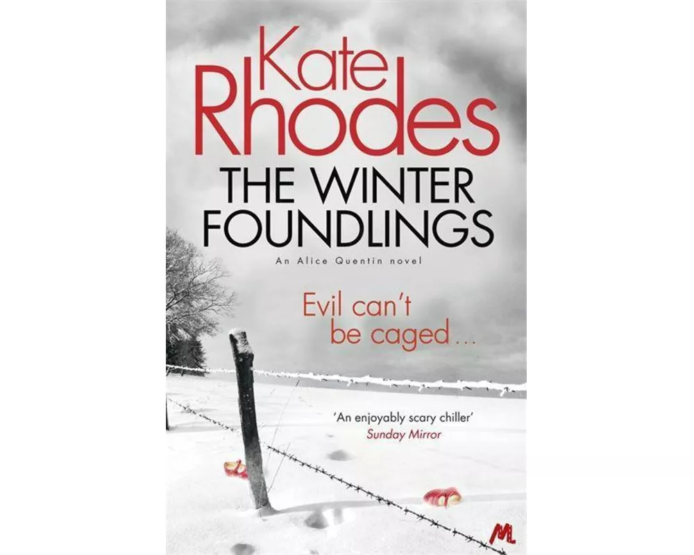 The Winter Foundlings