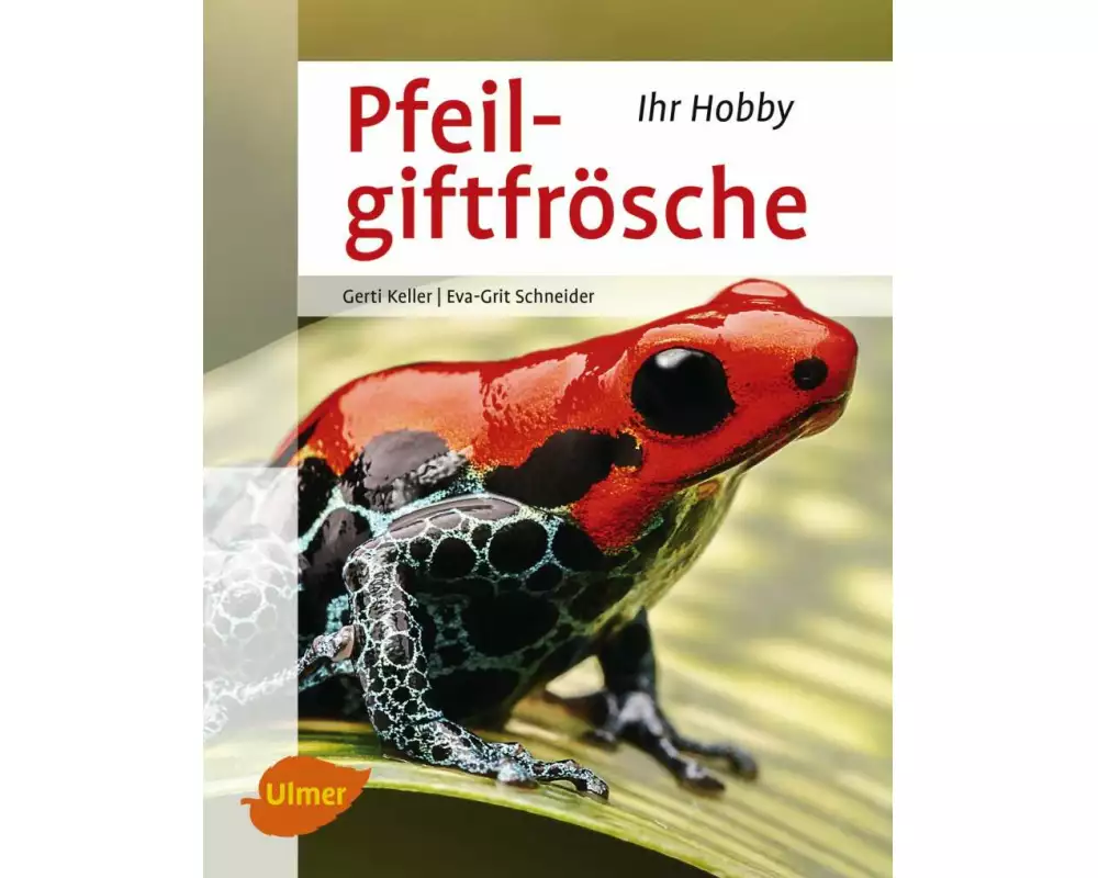 Pfeilgiftfrösche