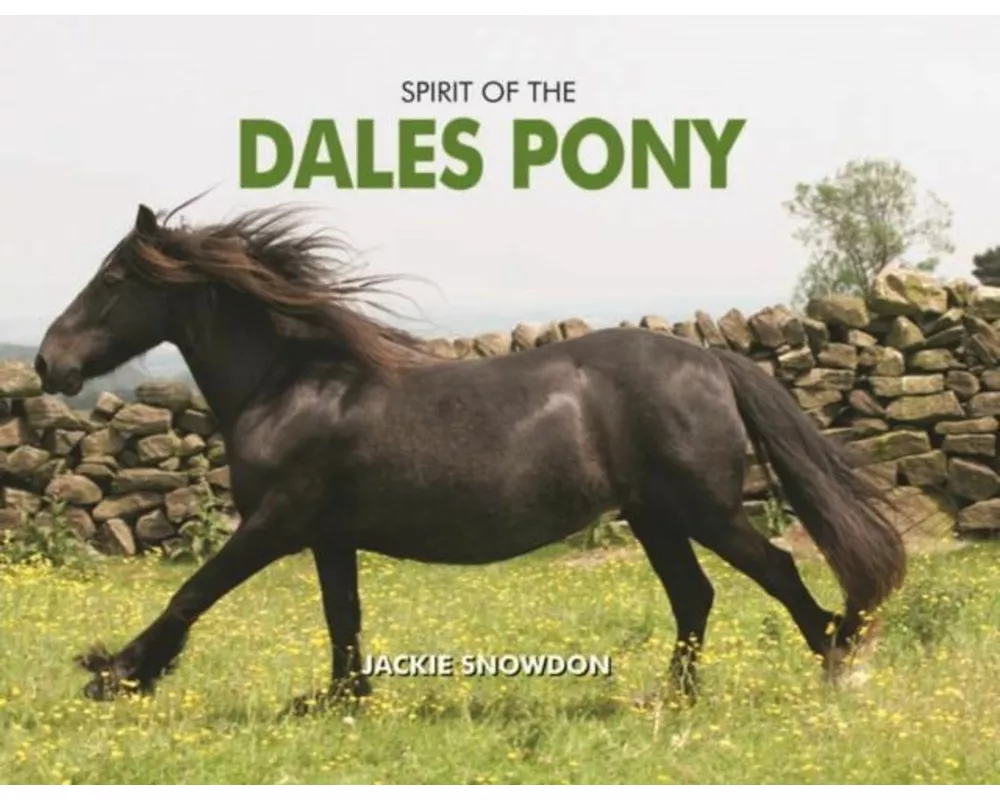 Spirit of the Dales Pony