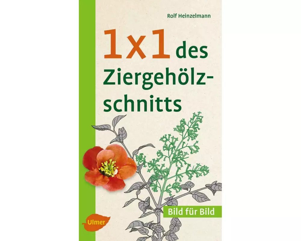 1 x 1 des Ziergehölzschnitts