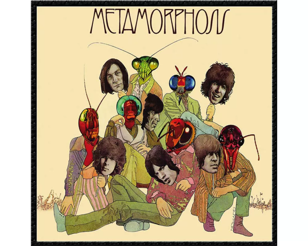 Metamorphosis