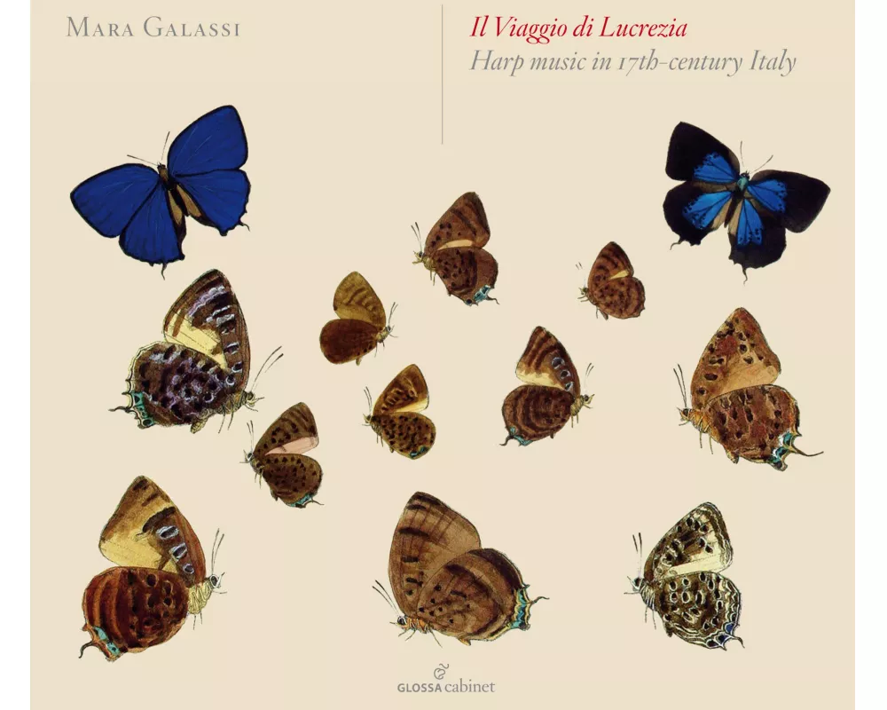Il viaggio di Lucrezia: Galassi