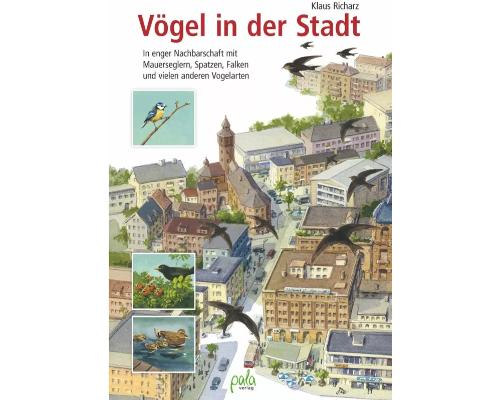 Vögel in der Stadt