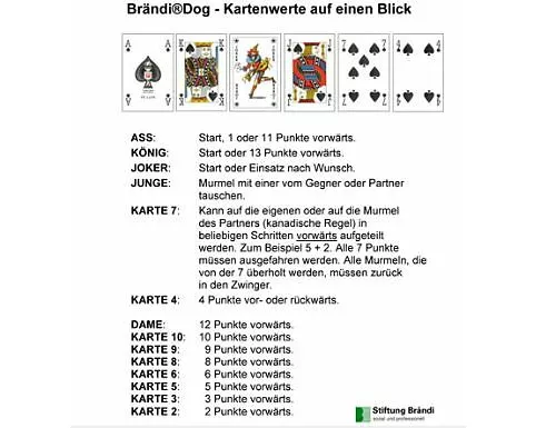 Brändi Dog Kurzanleitung