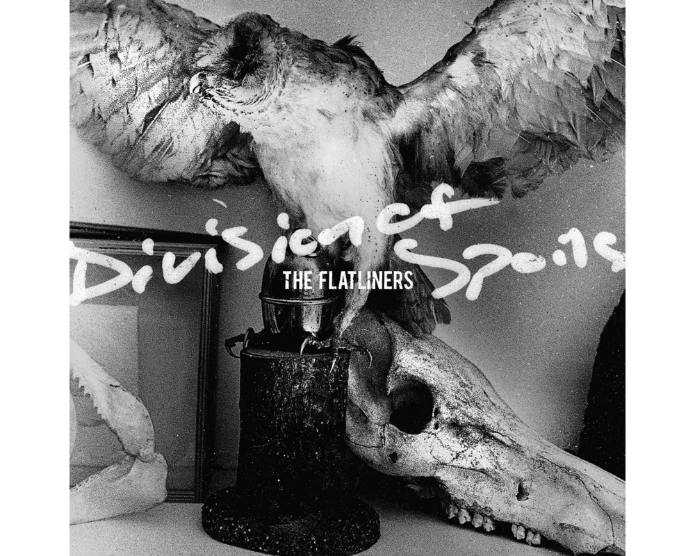 Division Of Spoils