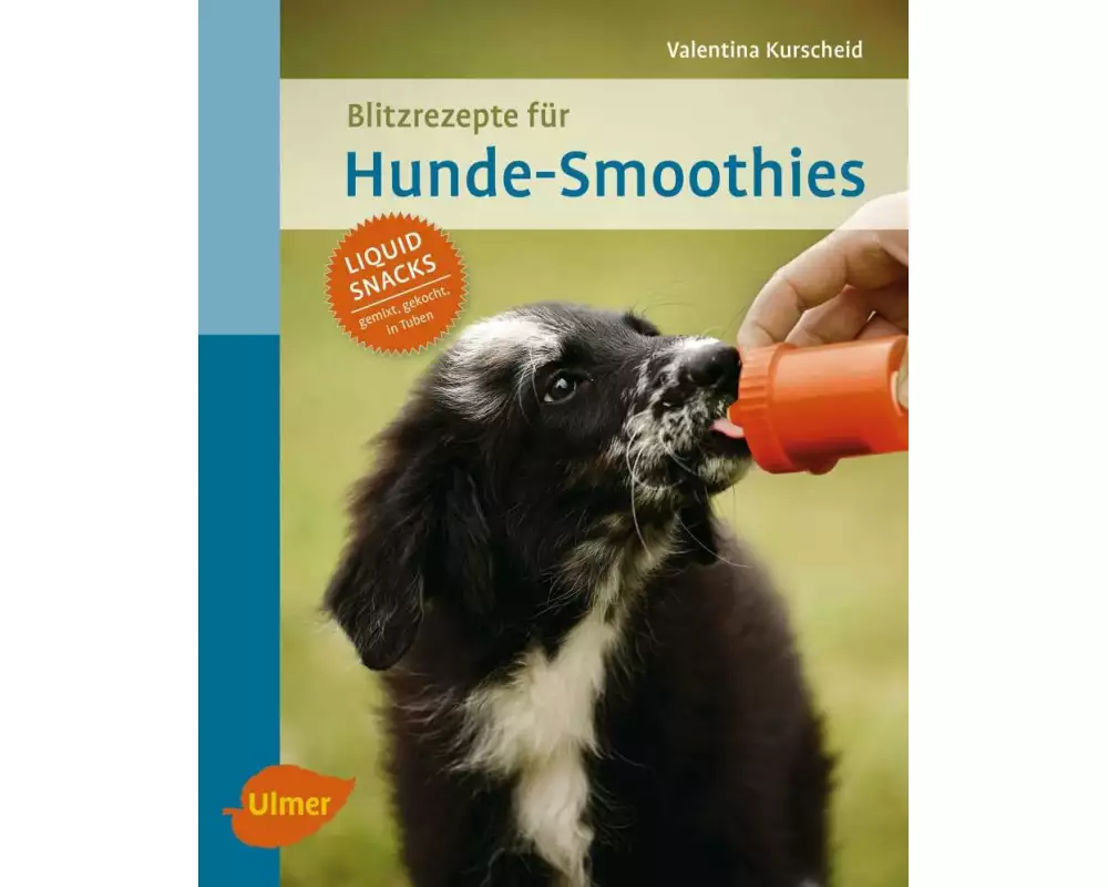Blitzrezepte für Hunde-Smoothies