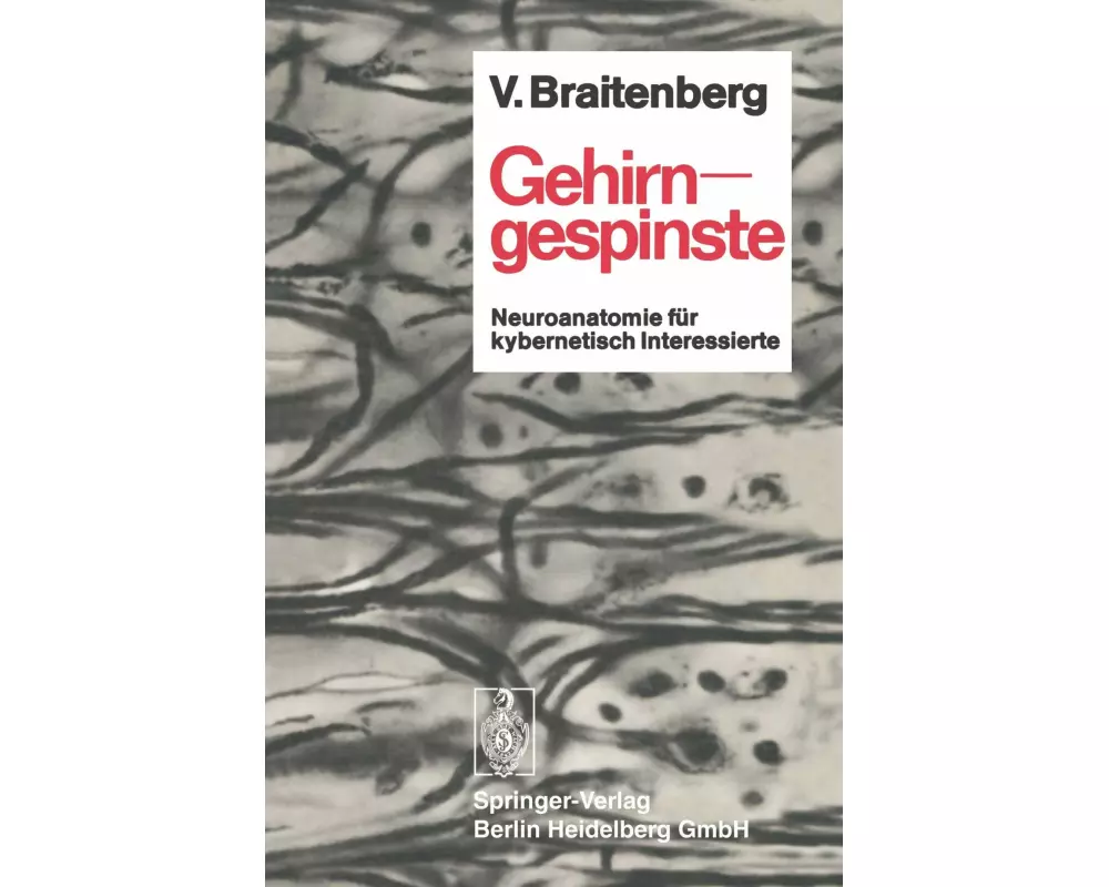 Gehirngespinste