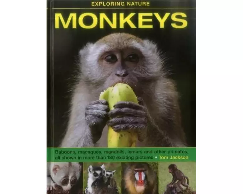 Exploring Nature: Monkeys