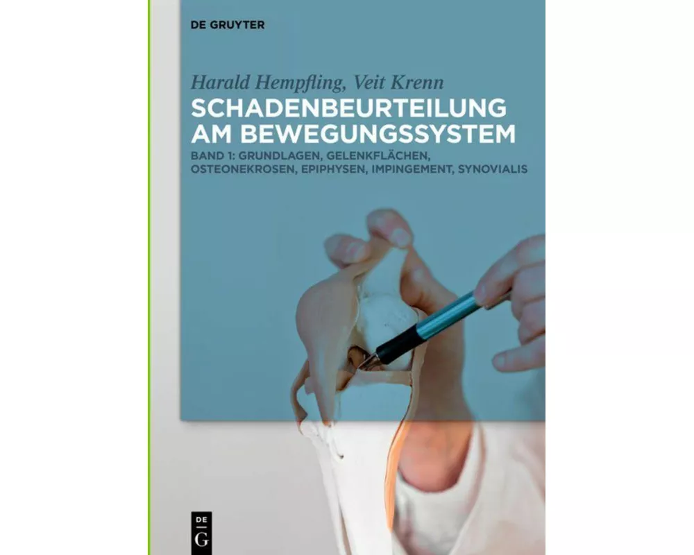 Grundlagen, Gelenkflächen, Osteonekrosen, Epiphysen, Impingement, Synovialis