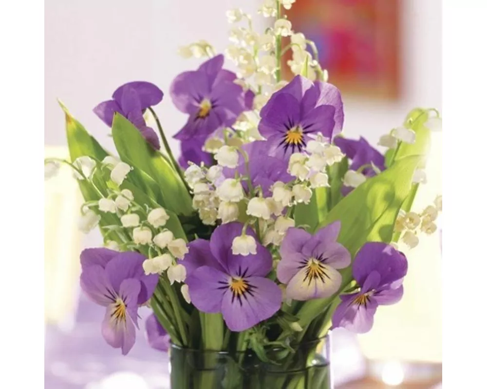Memo Block: Purple Viola