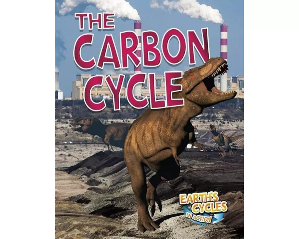 The Carbon Cycle