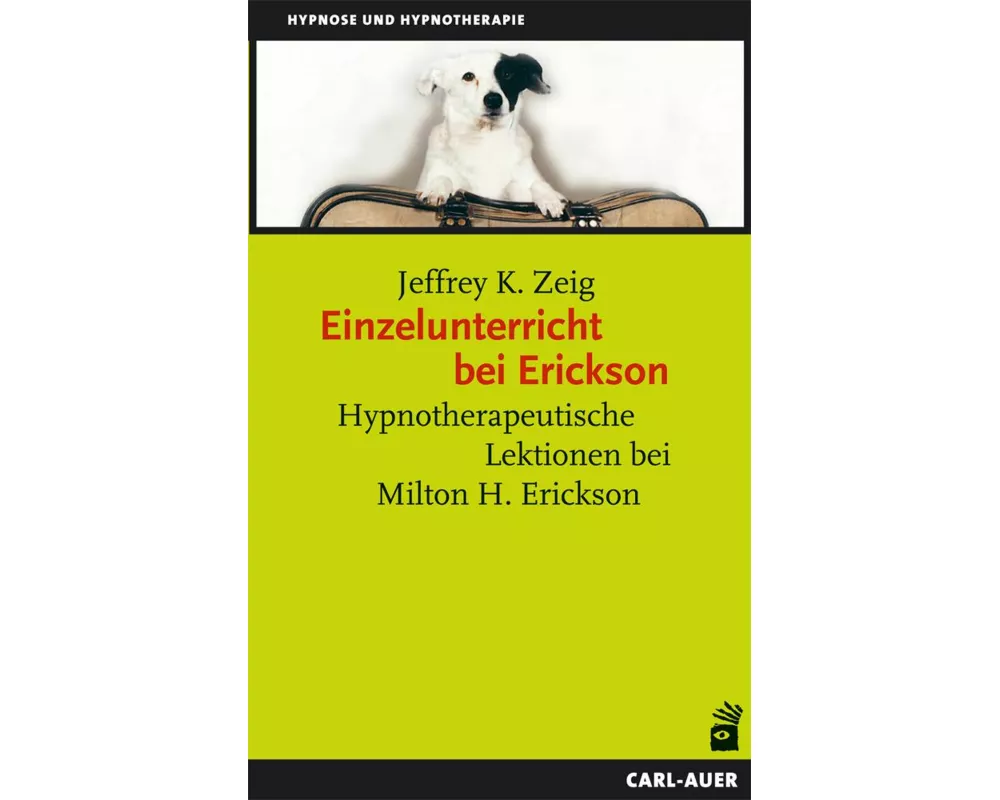 Einzelunterricht bei Erickson