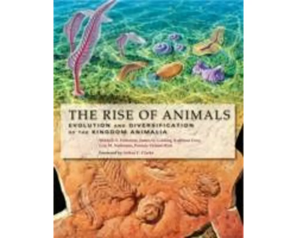 The Rise of Animals