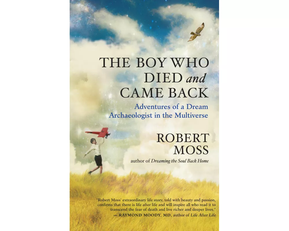 The Boy Who Died and Came Back