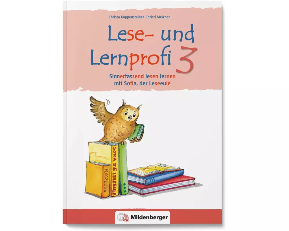 Lese- und Lernprofi 3 NEU - Schülerarbeitsheft - silbierte Ausgabe