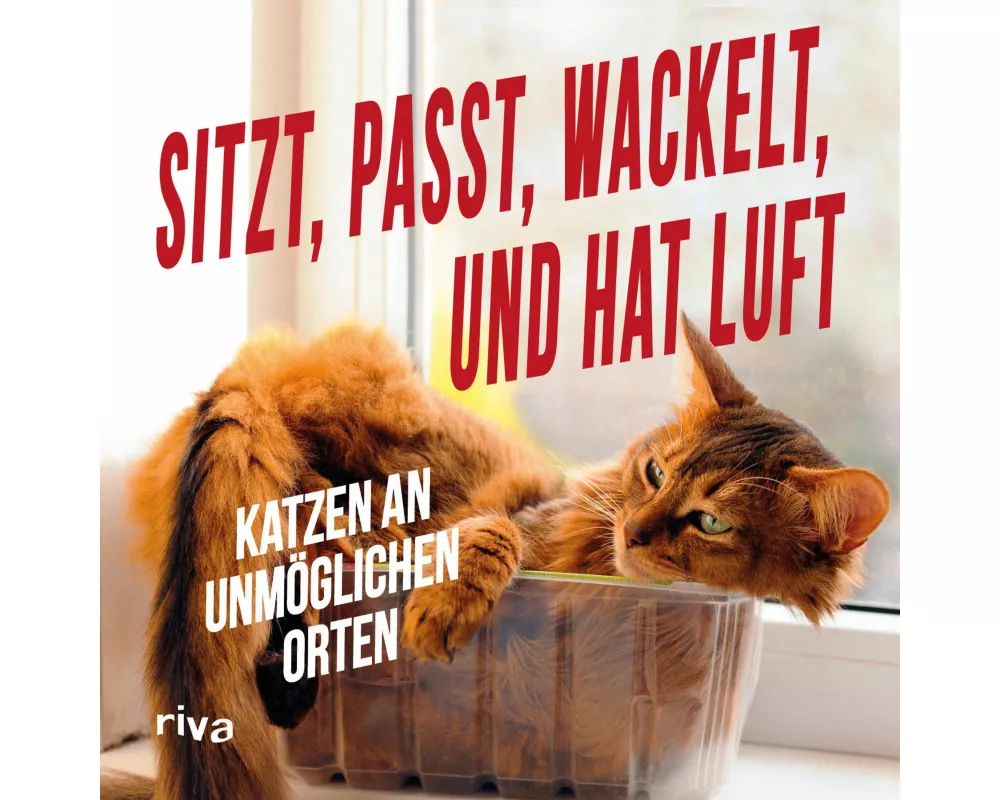 Sitzt, passt, wackelt und hat Luft
