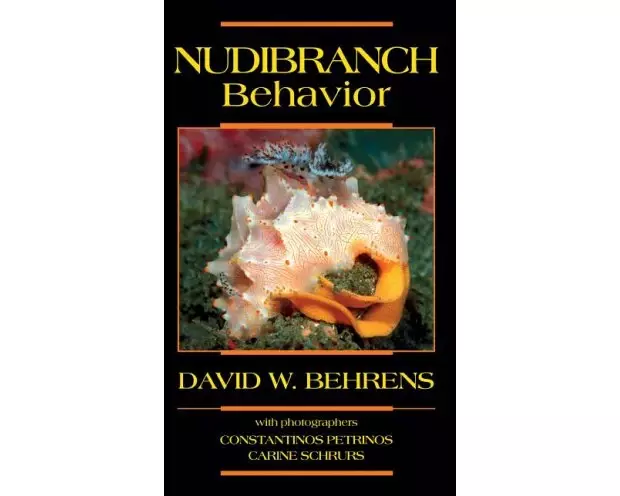 Nudibranch Behavior