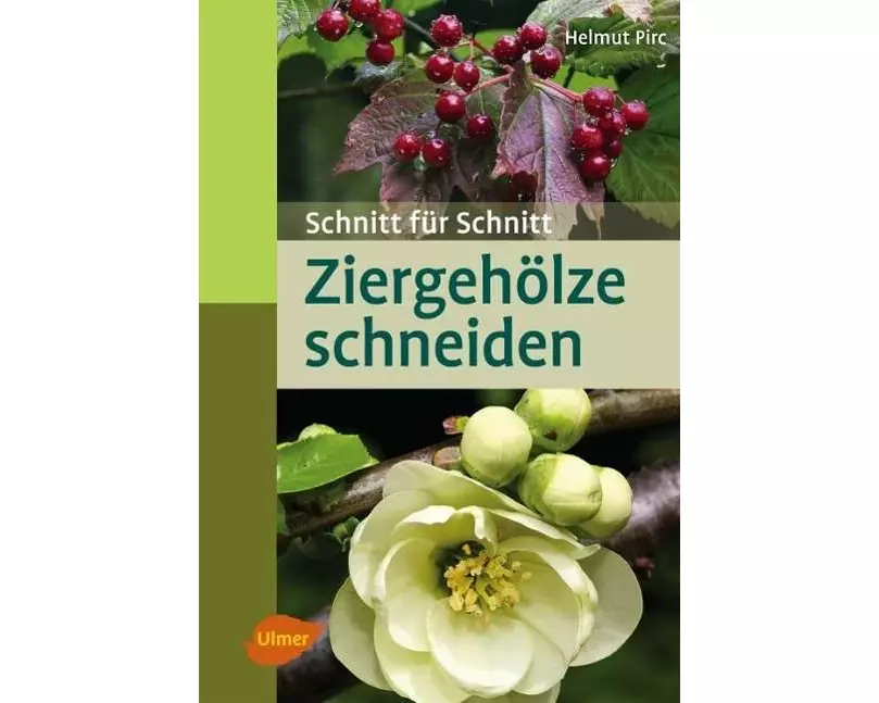 Ziergehölze schneiden